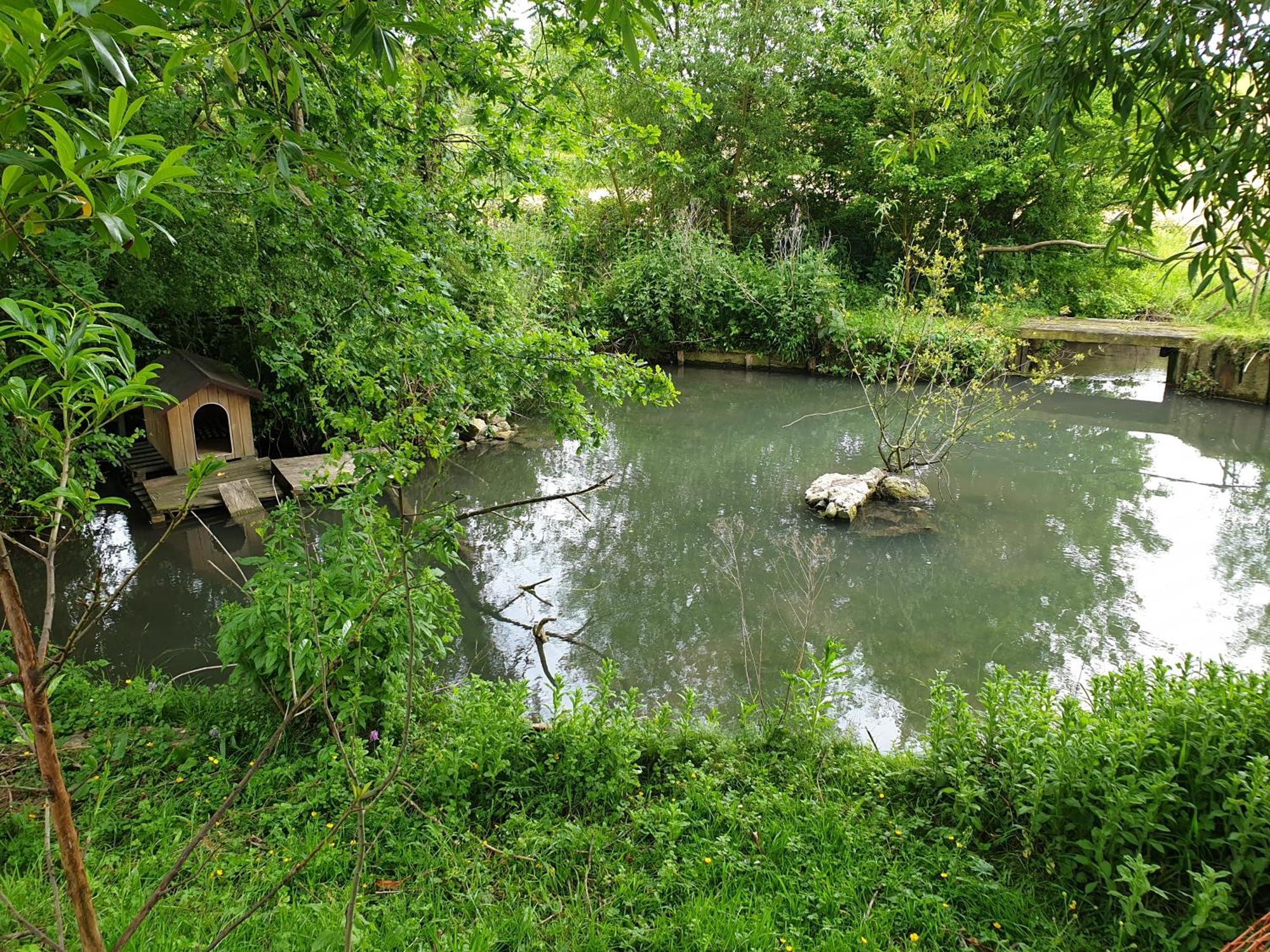 Moulin De La Bretonniere - Omaha Beach Aignerville Ngoại thất bức ảnh